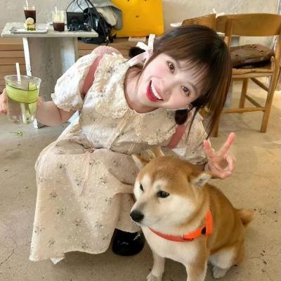 家庭档案海报
