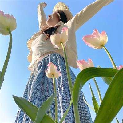 多芬丢失的项链海报